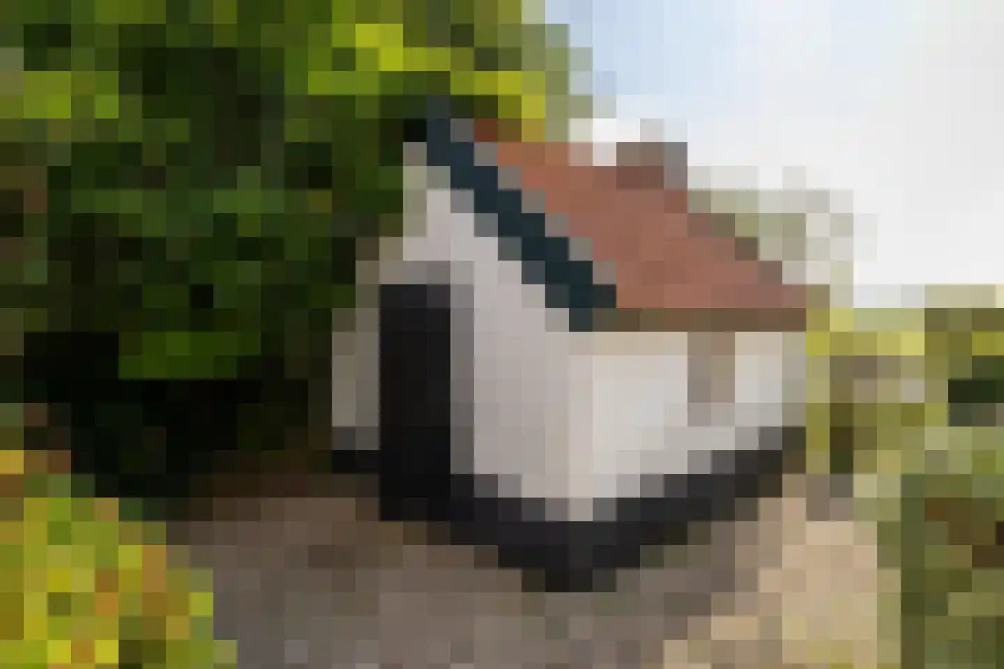 Uddelerveen 52 Uddel thumbnail 58
