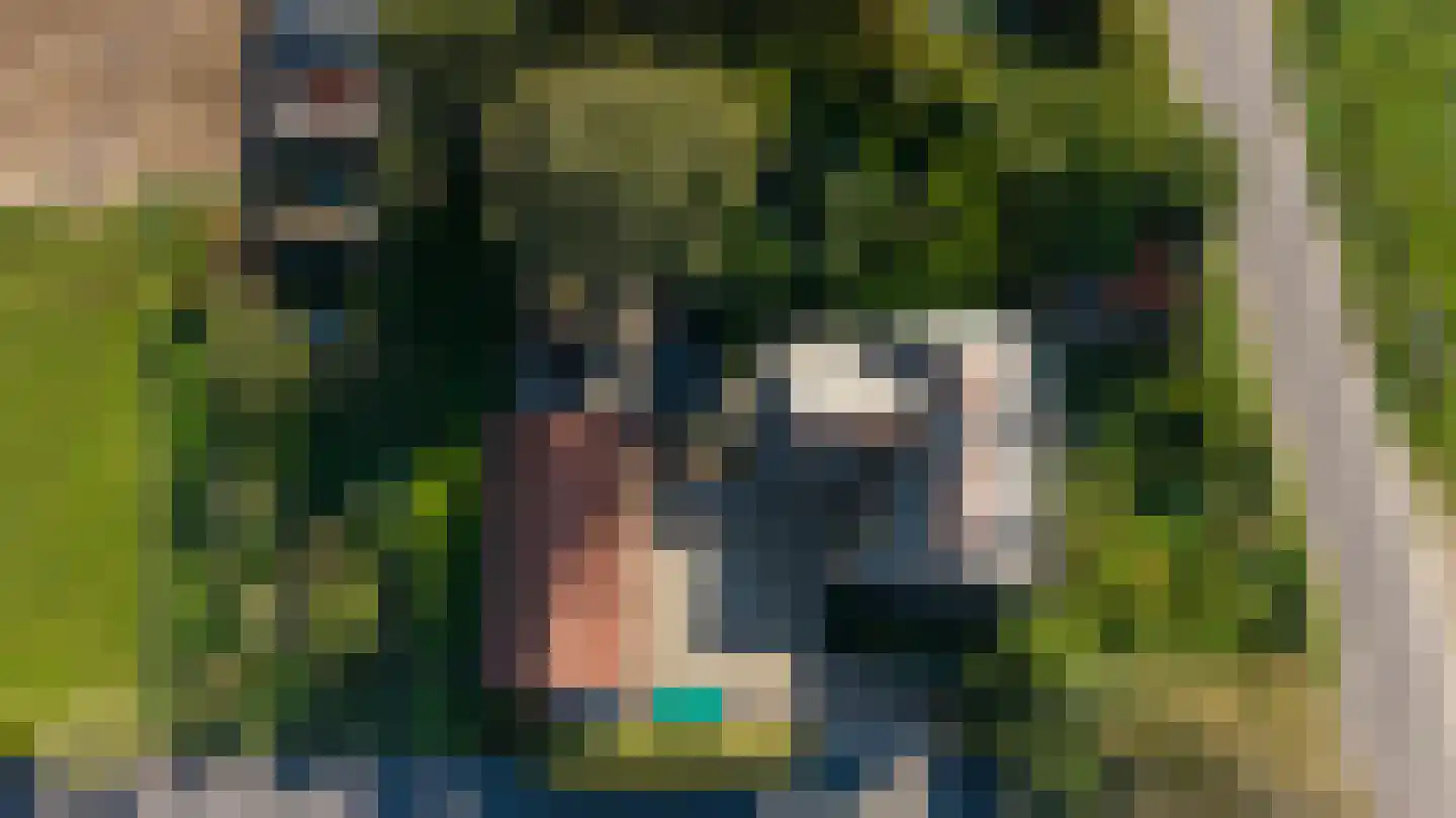 Uddelerveen 52 Uddel thumbnail 60