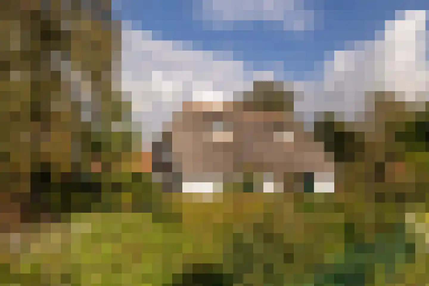 Uddelerveen 52 Uddel thumbnail 7