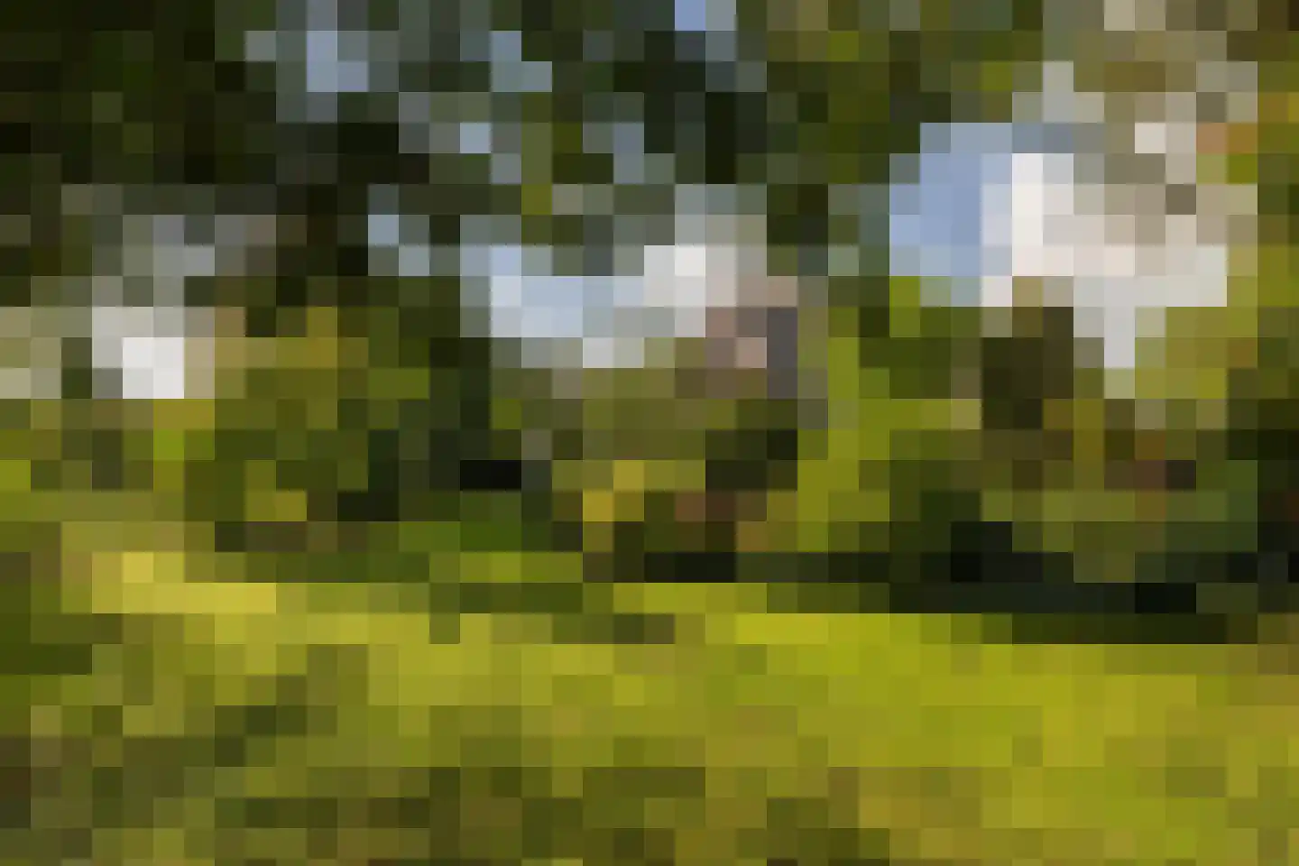 Uddelerveen 52 Uddel thumbnail 9