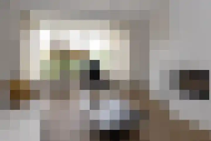 Uddelerveen 68 A Uddel thumbnail 13
