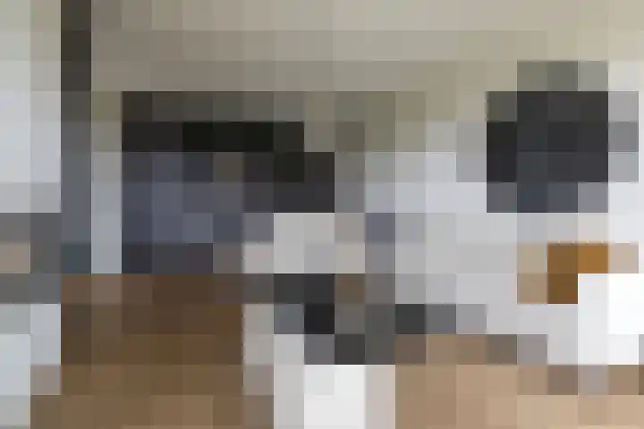 Uddelerveen 68 A Uddel thumbnail 15