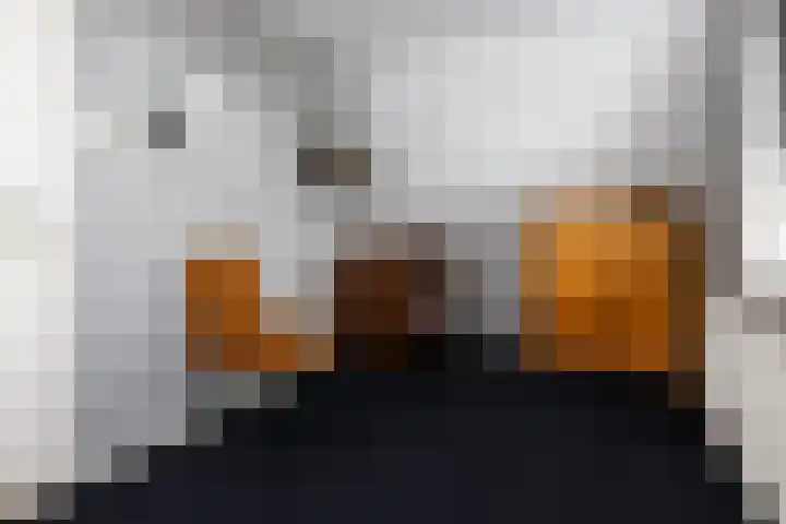 Uddelerveen 68 A Uddel thumbnail 36