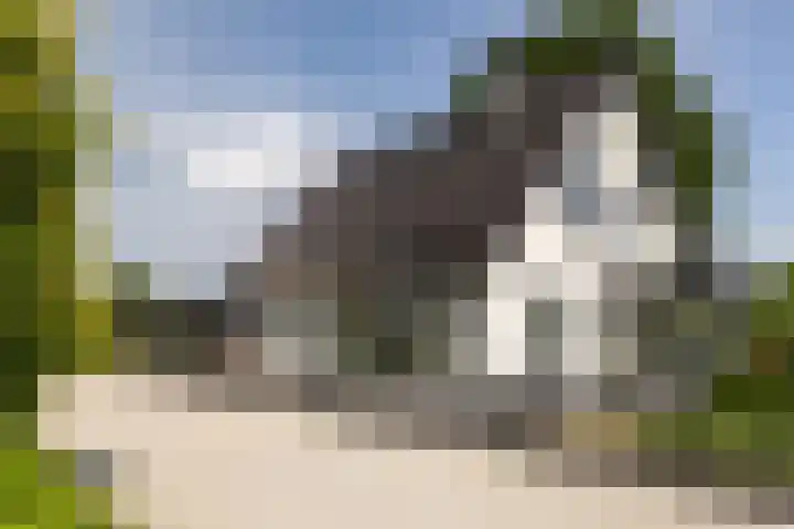 Uddelerveen 68 A Uddel thumbnail 4