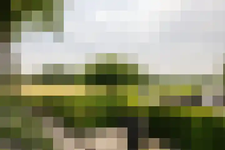 Uddelerveen 68 A Uddel thumbnail 41