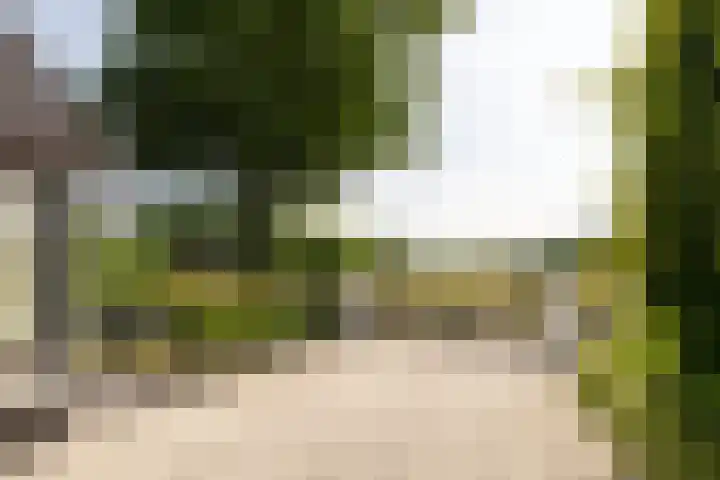 Uddelerveen 68 A Uddel thumbnail 42