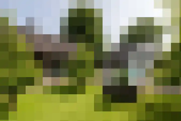 Uddelerveen 68 A Uddel thumbnail 45