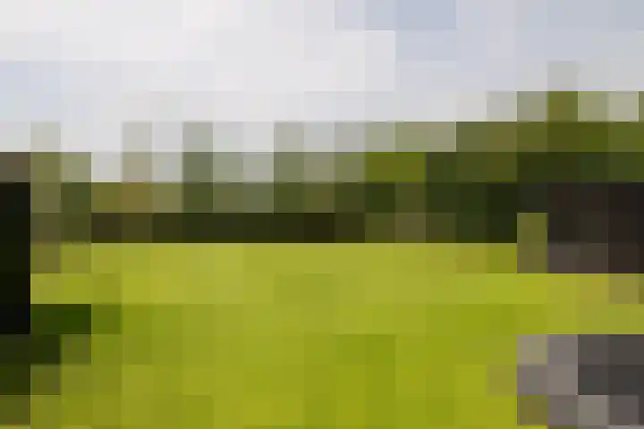 Uddelerveen 68 A Uddel thumbnail 48