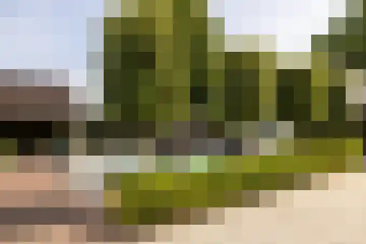 Uddelerveen 68 A Uddel thumbnail 9