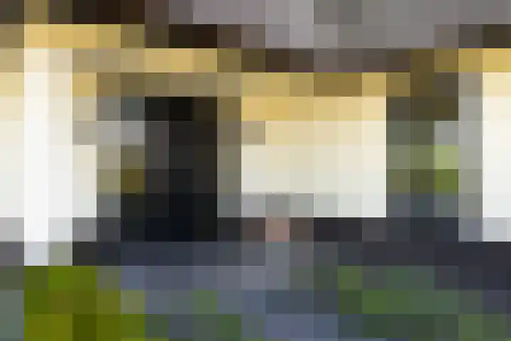 Uddelerveen 68 C Uddel thumbnail 13