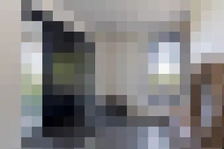 Uddelerveen 68 C Uddel thumbnail 14
