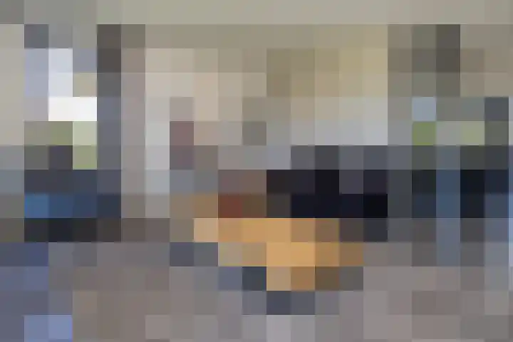 Uddelerveen 68 C Uddel thumbnail 15