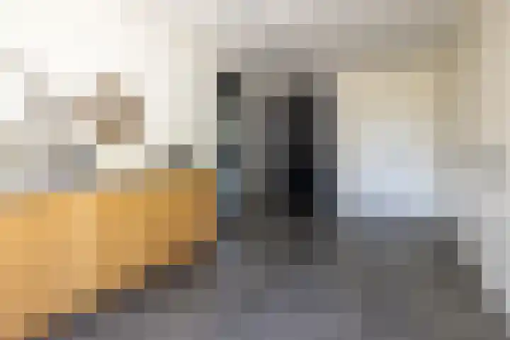 Uddelerveen 68 C Uddel thumbnail 24