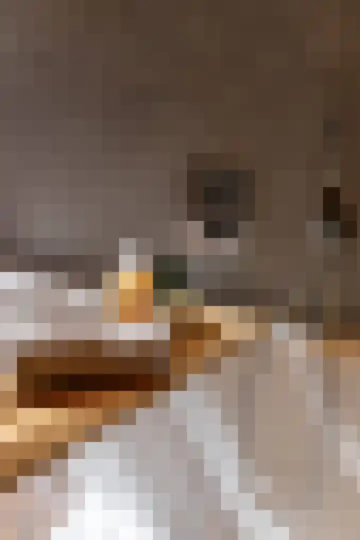 Uddelerveen 68 C Uddel thumbnail 33