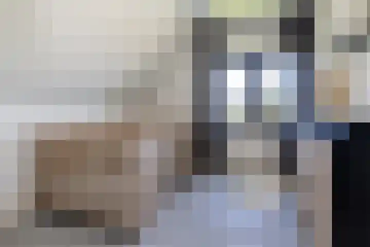 Uddelerveen 68 C Uddel thumbnail 37