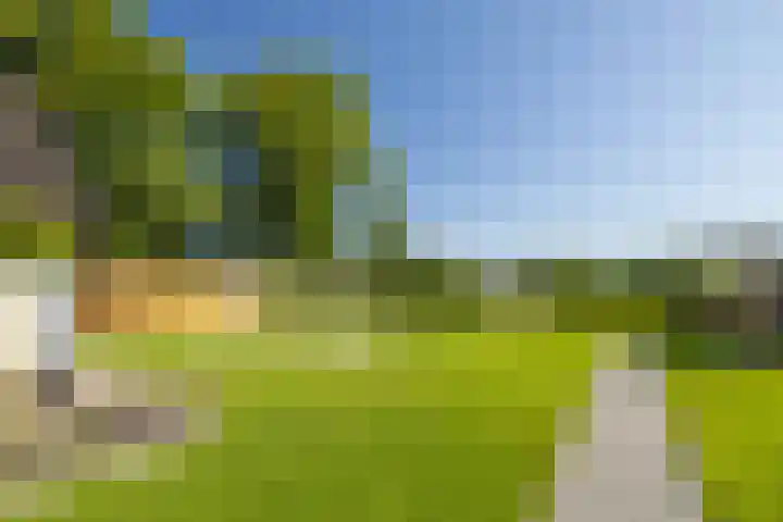 Uddelerveen 68 C Uddel thumbnail 4