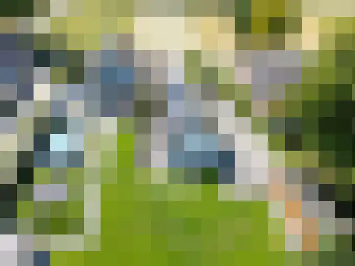 Uddelerveen 68 C Uddel thumbnail 40