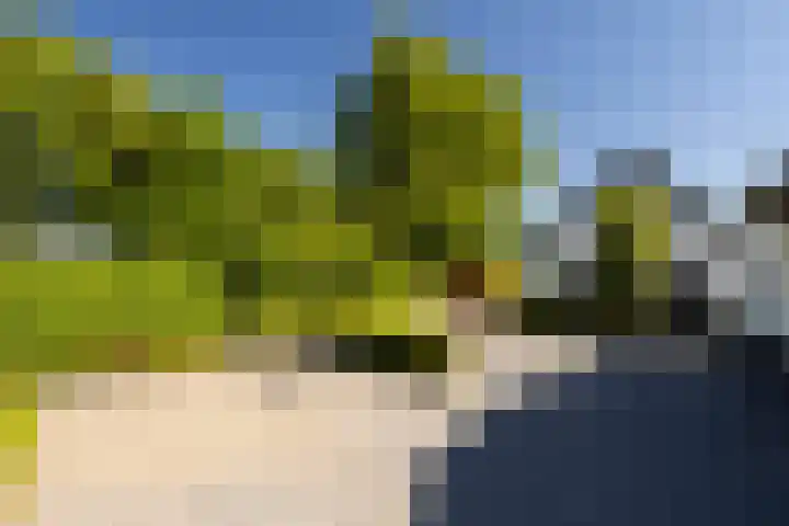 Uddelerveen 68 C Uddel thumbnail 42