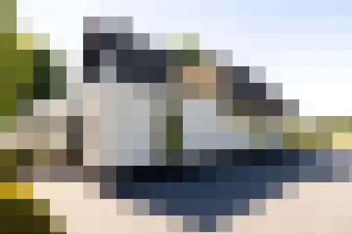Uddelerveen 68 C Uddel thumbnail 43