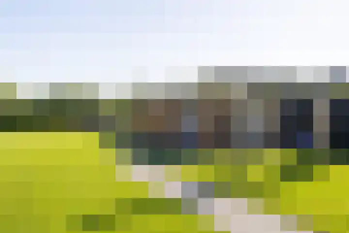 Uddelerveen 68 C Uddel thumbnail 44