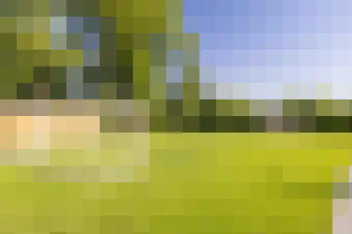 Uddelerveen 68 C Uddel thumbnail 46