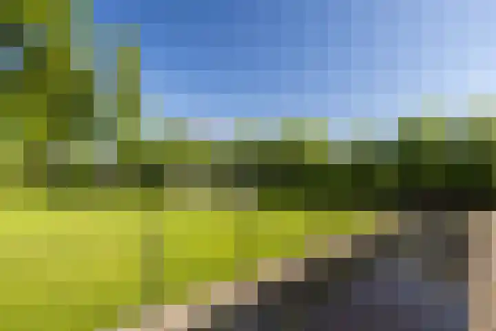 Uddelerveen 68 C Uddel thumbnail 47