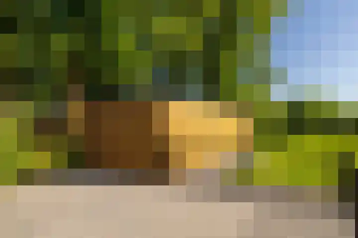 Uddelerveen 68 C Uddel thumbnail 48
