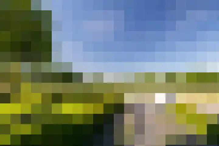 Uddelerveen 68 C Uddel thumbnail 49