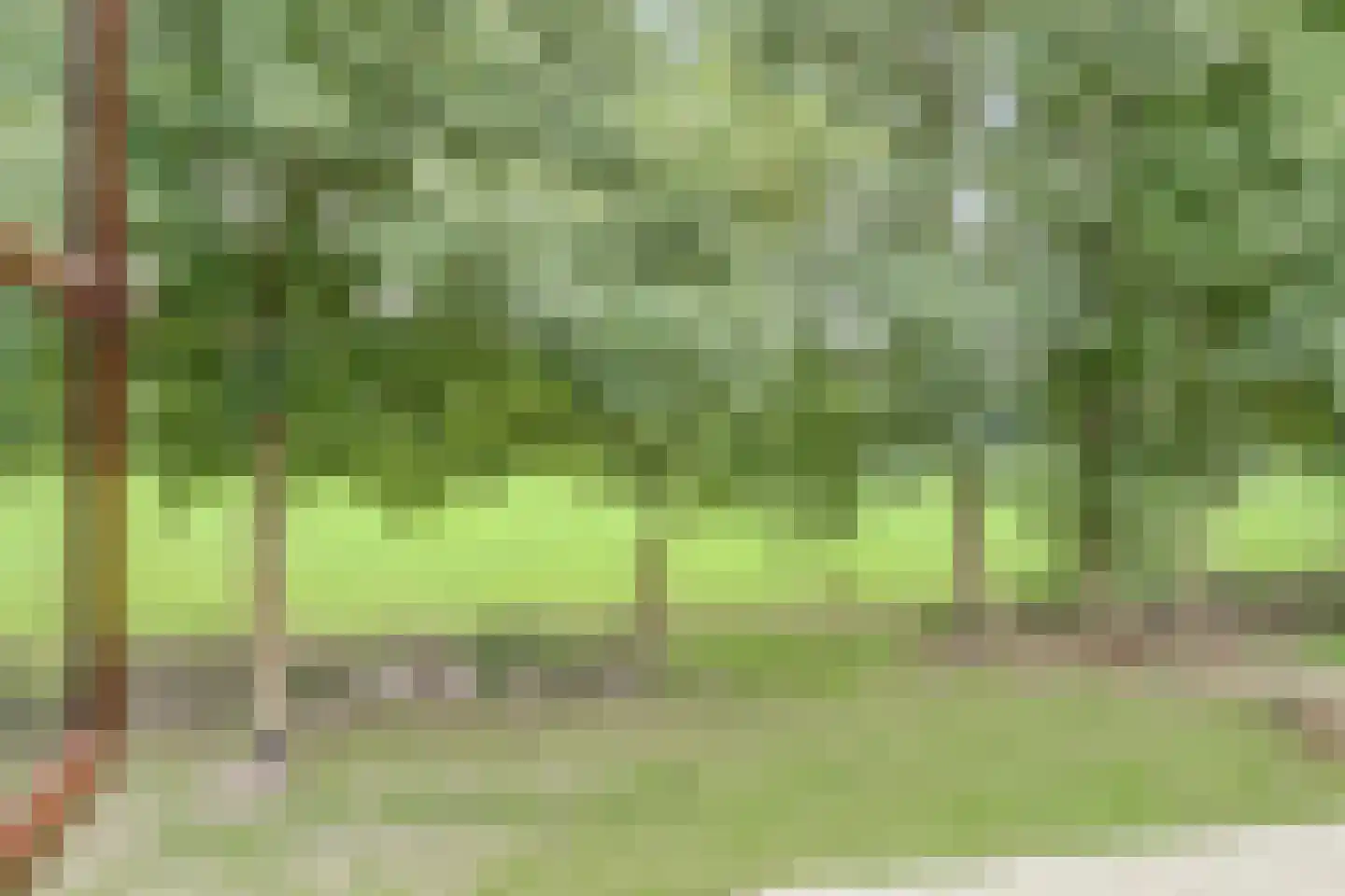 Uddelerweg 44 Elspeet thumbnail 24