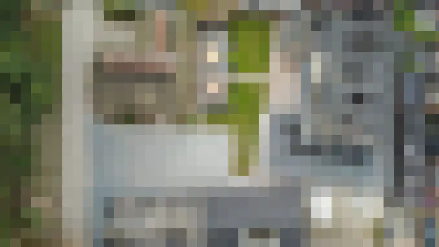 Uddelerweg 44 Elspeet thumbnail 68