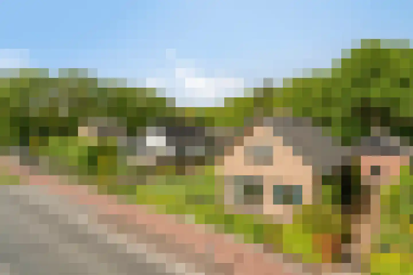 Uddelerweg 52 a Elspeet thumbnail 51