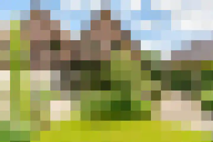 Uddelerweg 52 Elspeet thumbnail 57