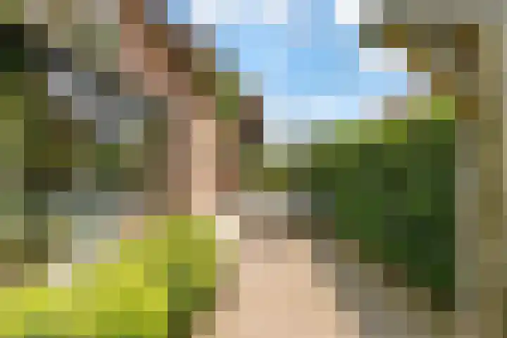 Uddelerweg 52 Elspeet thumbnail 6