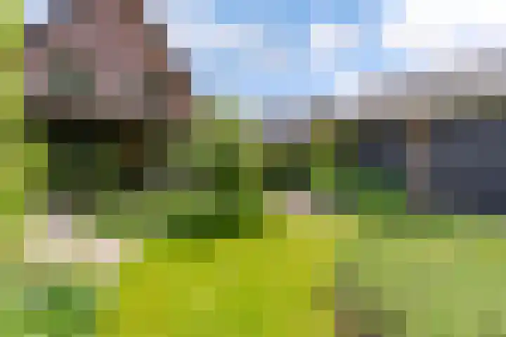 Uddelerweg 52 Elspeet thumbnail 60