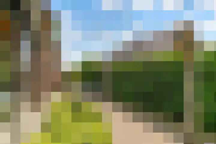 Uddelerweg 52 Elspeet thumbnail 61