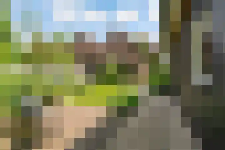 Uddelerweg 52 Elspeet thumbnail 63