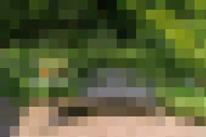 Uddelerweg 52 Elspeet thumbnail 64