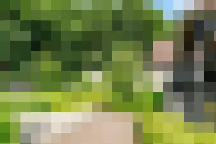 Uddelerweg 52 Elspeet thumbnail 66