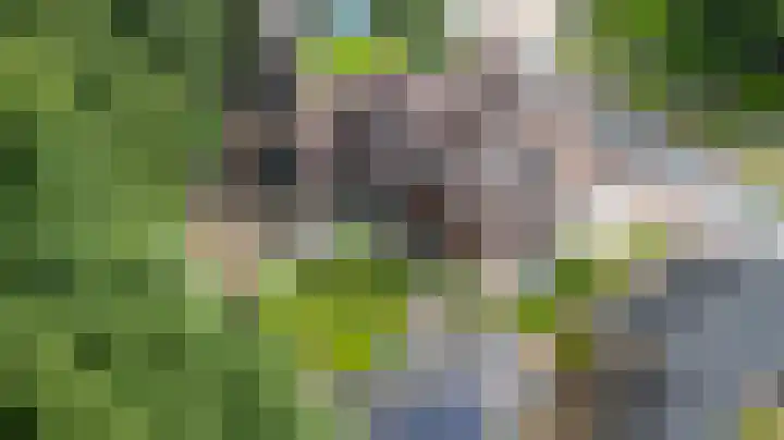 Uddelerweg 52 Elspeet thumbnail 67