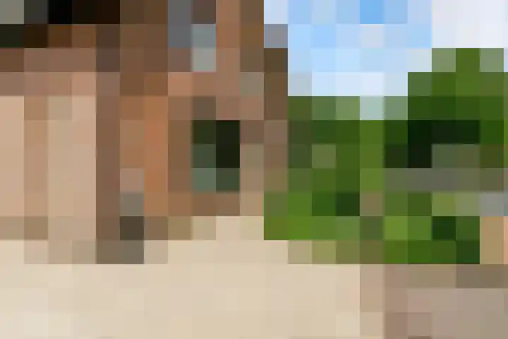 Uddelerweg 52 Elspeet thumbnail 68