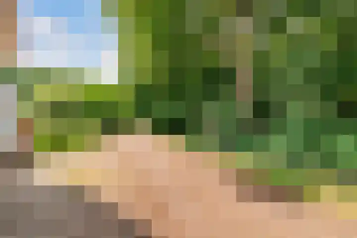 Uddelerweg 52 Elspeet thumbnail 69