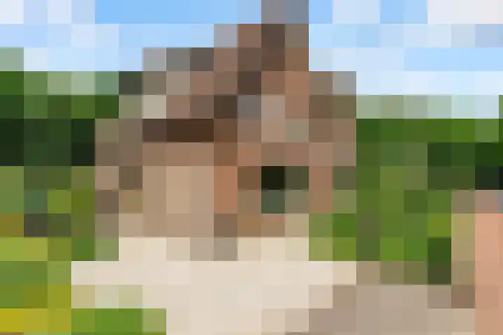 Uddelerweg 52 Elspeet thumbnail 7