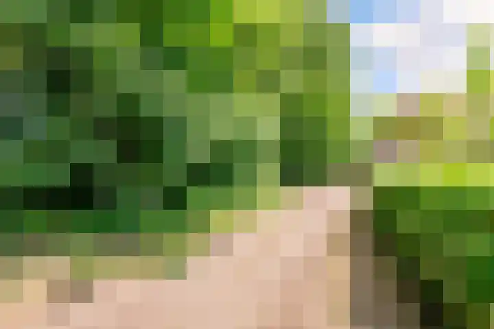 Uddelerweg 52 Elspeet thumbnail 70