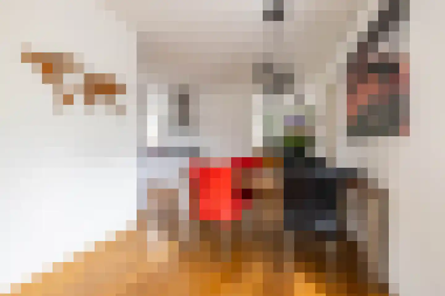 Udemalaan 5 Gieten thumbnail 18