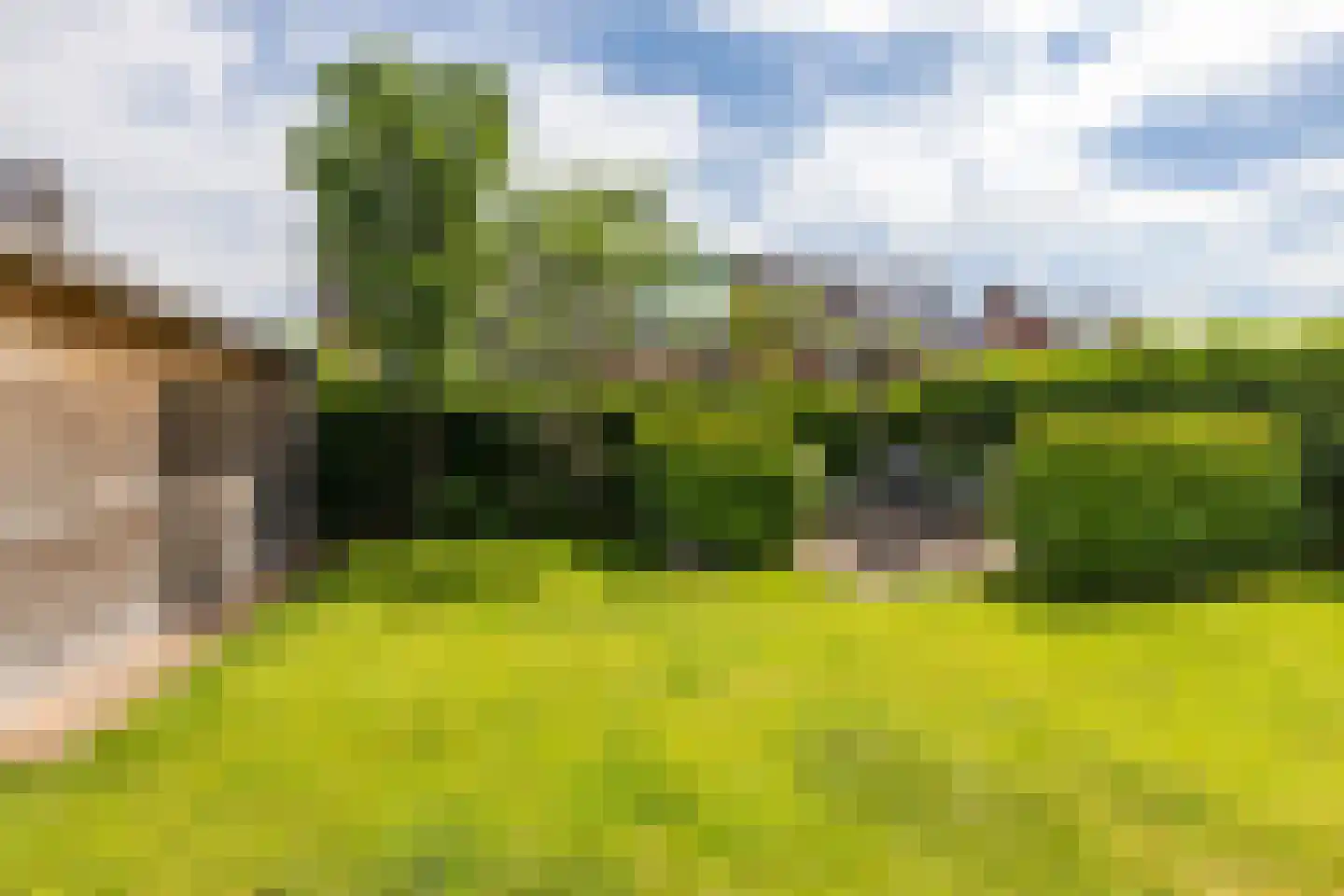 Udemalaan 5 Gieten thumbnail 36