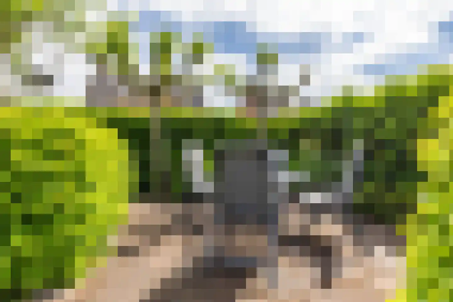 Udemalaan 5 Gieten thumbnail 37