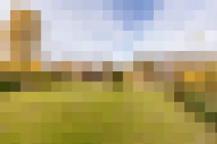 Udenhoutseweg 10 Helvoirt thumbnail 35