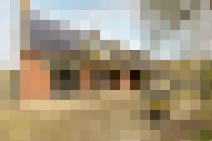 Udenhoutseweg 10 Helvoirt thumbnail 37
