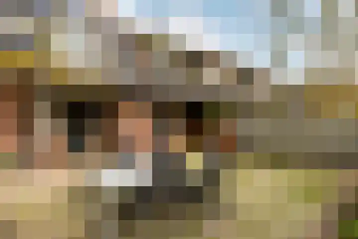Udenhoutseweg 10 Helvoirt thumbnail 38