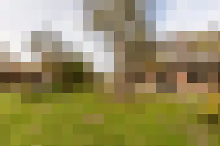 Udenhoutseweg 10 Helvoirt thumbnail 4